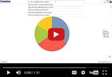 Smarten Augmented Analytics with NLP Search Capability Including Rank and Polarity Analytics