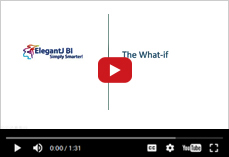 Exploring the power of What-If analysis in ElegantJ BI