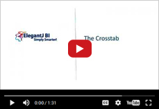 Making a Crosstab report in ElegantJ BI
