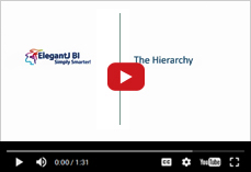 Understanding a hierarchy for drill down and drill through in ElegantJ BI