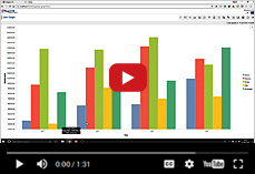 Using graphs for analytics in ElegantJ BI