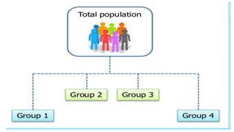 What is Hierarchical Clustering and How Can an Organization Use it to Analyze Data?