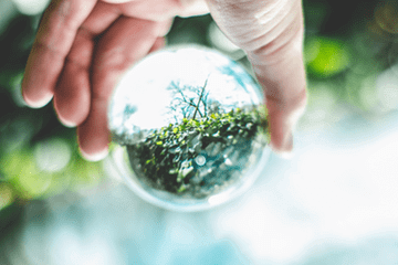Do I Need Clickless Search Analytics?