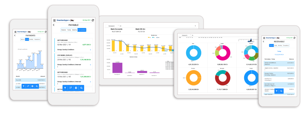 Finance and Accounting Pros Improve Value with Integrated Tally ERP Analytics