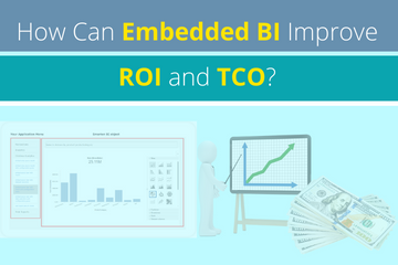 How Can Embedded BI Improve ROI and TCO?
