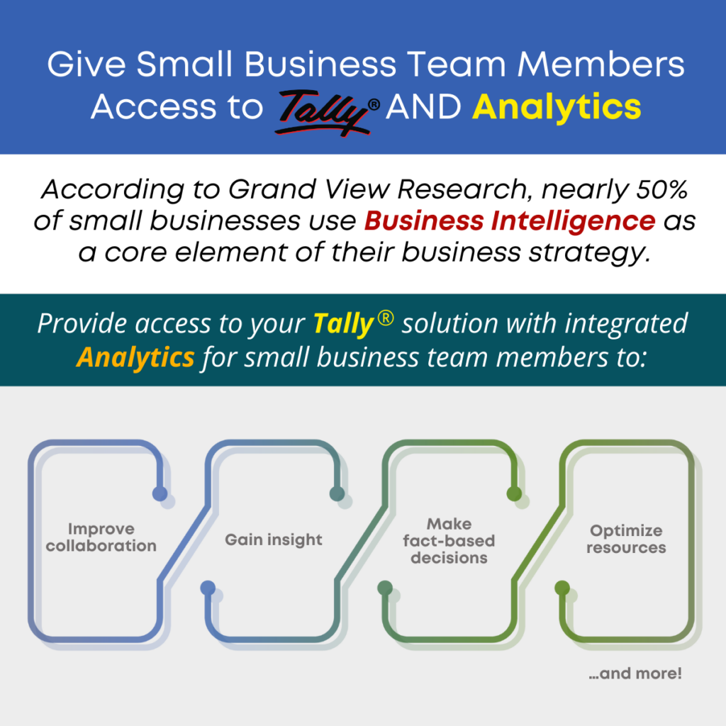 Give Small Business Team Members Access to Tally AND Analytics