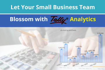 Add Analytics to Your Tally Solution and Give Your Small Business Team Members What They Need!